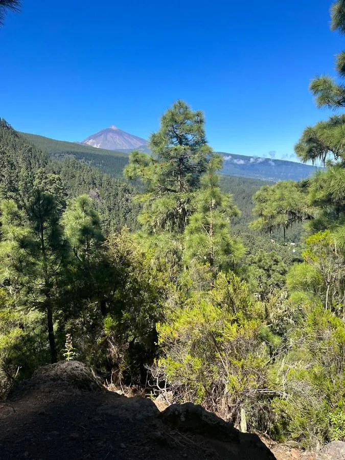 Apartamento Los Picachos, Poris De Abona Santa Cruz de Tenerife