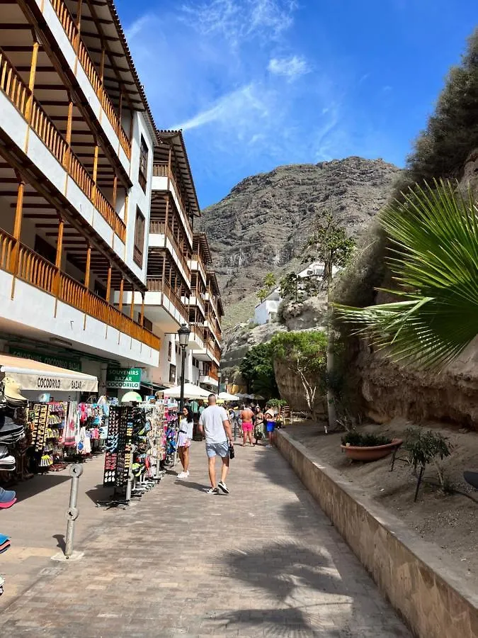 Apartamento Los Picachos, Poris De Abona Santa Cruz de Tenerife Apartment